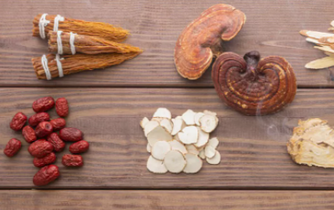 傳承藥食同源，衍生健康入選鐵皮石斛、西洋參、靈芝藥食同源首批試點(diǎn)